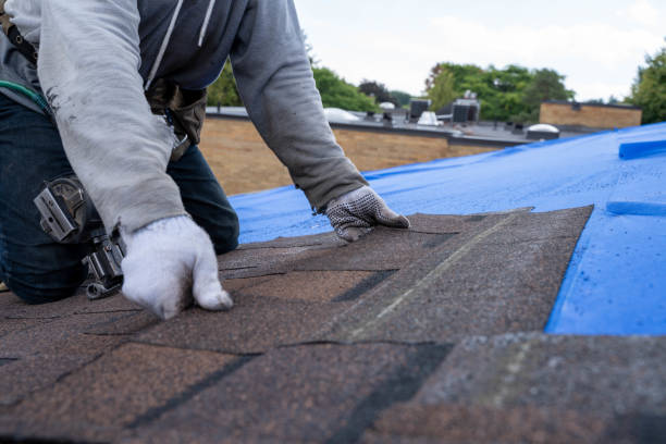 Professional Roofing Contractor in Hubbard, TX